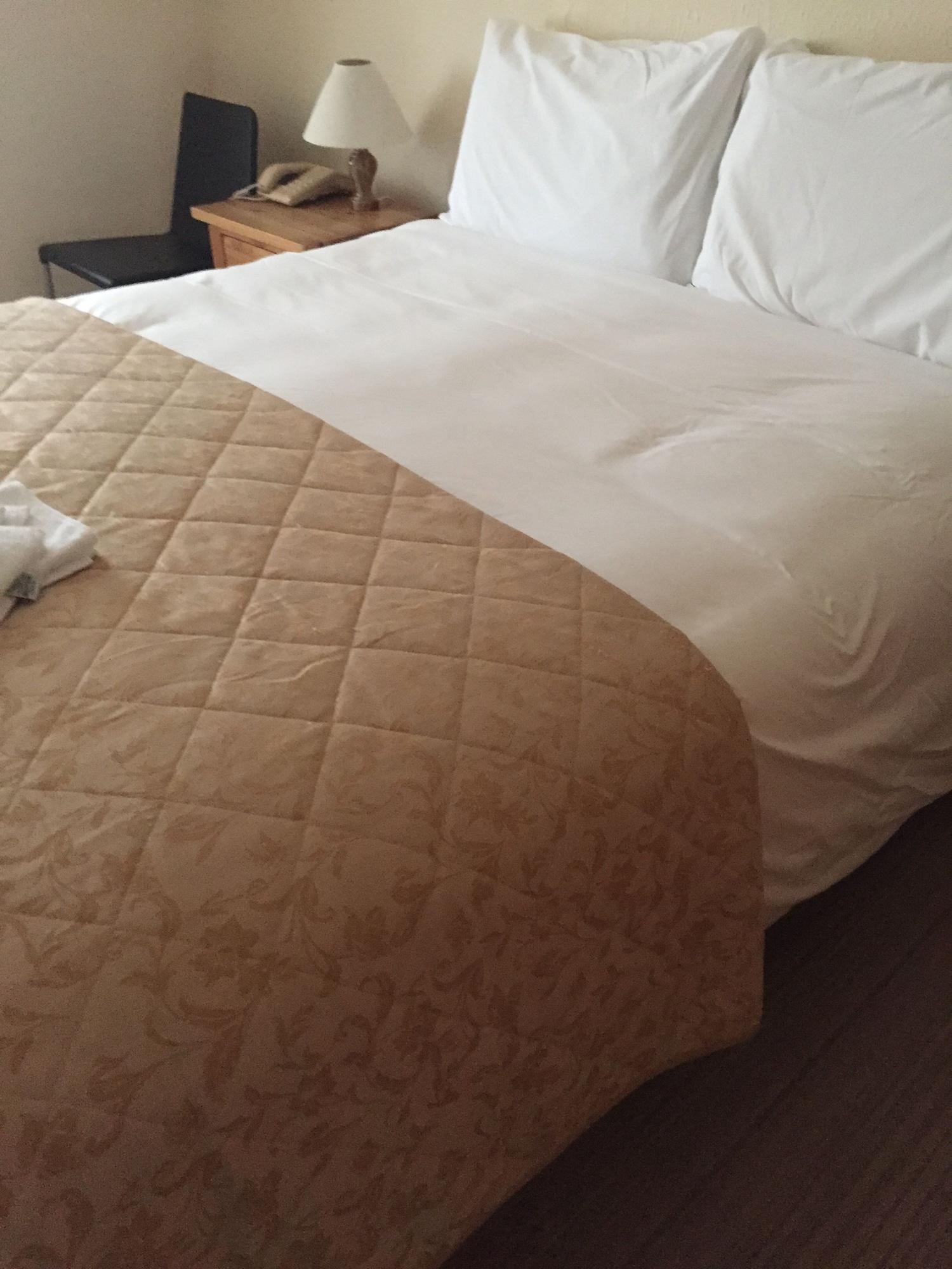 Carlton Hotel Ilfracombe Zewnętrze zdjęcie